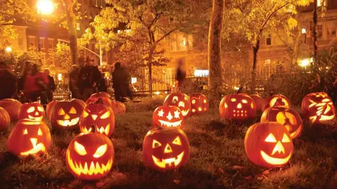 Multiple large carved pumpkins lit up in a small park